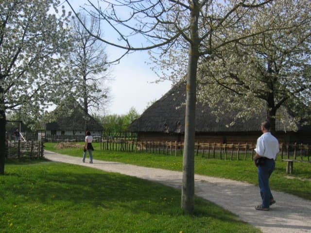 f001m001.jpg