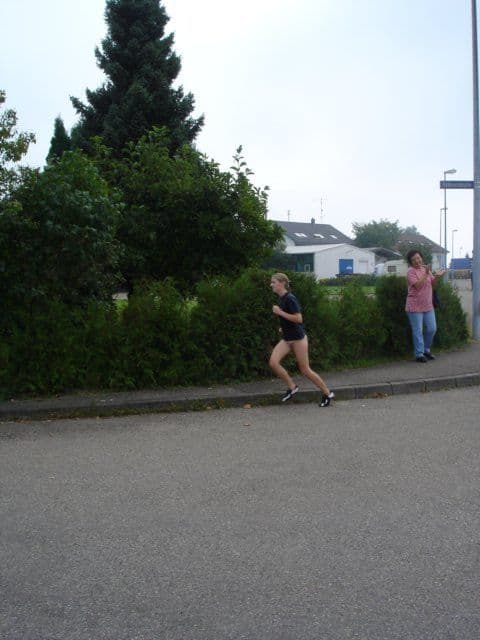 dsc03313.jpg